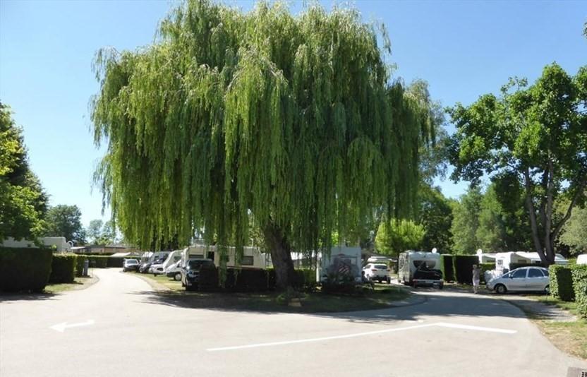 Camping Du Paquier Fané Chagny  Esterno foto